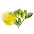 Olive Oil